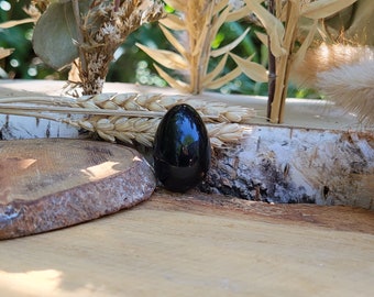 Shungite Egg Talisman