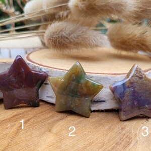 Companion Stone Ocean Jasper Star Gemstone Hand Flatterer