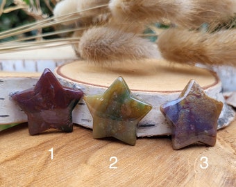 Companion Stone Ocean Jasper Star Gemstone Hand Flatterer