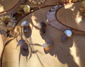 Botswana Agate Mushroom Gemstone Hand Flatterer