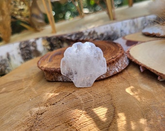 Shell Rock Crystal Crystal Gemstone Talisman