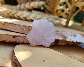 Rose quartz shell crystal gemstone palm stone