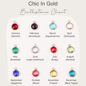 May include: A chart showing the birthstones for each month of the year. The chart features a gold charm with a gemstone for each month. The gemstones are: Garnet, Amethyst, Aquamarine, Diamond, Emerald, Light Amethyst, Ruby, Peridot, Sapphire, Rose, Topaz, and Blue Topaz.