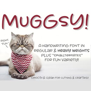Muggsy: a short and stout little font with lots of variety!