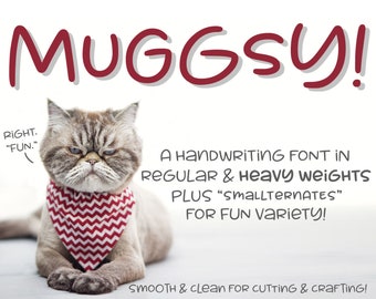 Muggsy: a short and stout little font with lots of variety!
