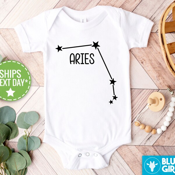 Zodiac Baby Shower Etsy