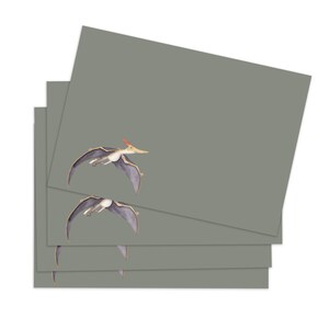 May include: A stack of four green note cards with a flying pterosaur illustration on each card.