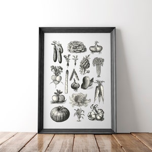 Poster Gemüse DIN A4, Poster Küche, Küchenbilder, Küchendeko, Bild Küche, Küchenposter, Wandbild Küche, Vintage Poster, Poster für die Küche Bild 6