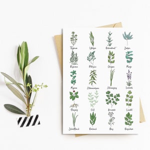 Postcard Kitchen Herbs Greeting Card Herbs
