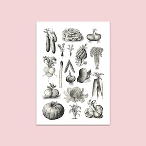 Poster vegetables DIN A4, poster kitchen, kitchen pictures, kitchen decoration, picture kitchen, kitchen poster, wall picture kitchen, vintage poster, poster for the kitchen