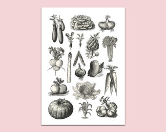 Poster vegetables DIN A4, poster kitchen, kitchen pictures, kitchen decoration, picture kitchen, kitchen poster, wall picture kitchen, vintage poster, poster for the kitchen