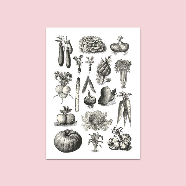Poster Gemüse DIN A4, Poster Küche, Küchenbilder, Küchendeko, Bild Küche, Küchenposter, Wandbild Küche, Vintage Poster, Poster für die Küche Bild 1