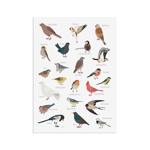 Briefkaart De Vogels van de tuin Wenskaart VOGELS De Vogels van de tuin
