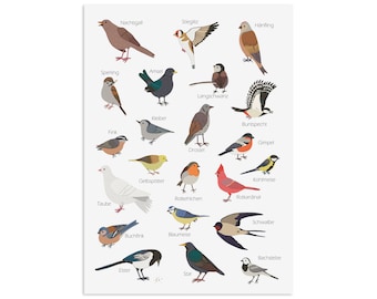 Postkarte Gartenvögel Grußkarte VÖGEL Gartenvögel