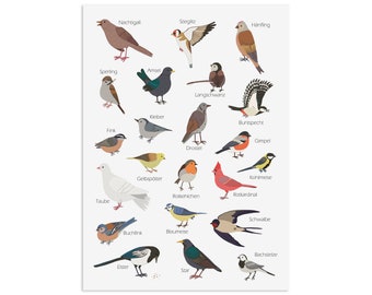 Carte postale Oiseaux du jardin Carte de voeux OISEAUX Oiseaux du jardin