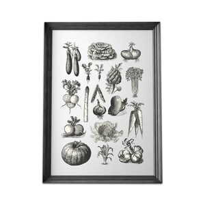 Poster Gemüse DIN A4, Poster Küche, Küchenbilder, Küchendeko, Bild Küche, Küchenposter, Wandbild Küche, Vintage Poster, Poster für die Küche Bild 4