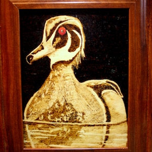 Wood Duck and Reflection wood burning