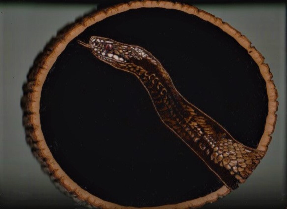 Snake Wood Burning Etsy