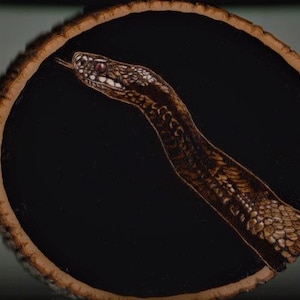 May include: A snake painted on a wooden slice, the snake is brown and black with a white pattern, the snake is curled up and looking to the left.