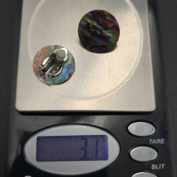 Silvertone Abalone Shell Circle Clip On Earrings … - image 6