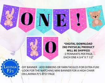 Printable One Year First Birthday Baby Banner (Instant Download)