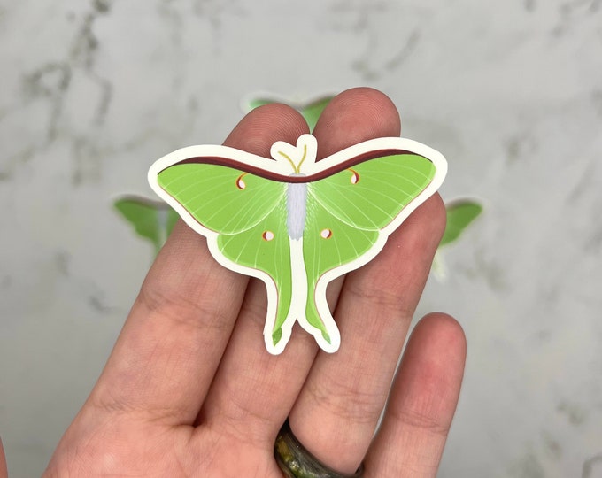 Luna Moth Sticker - Etsy