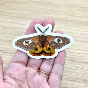 Kaiser Motte Sticker