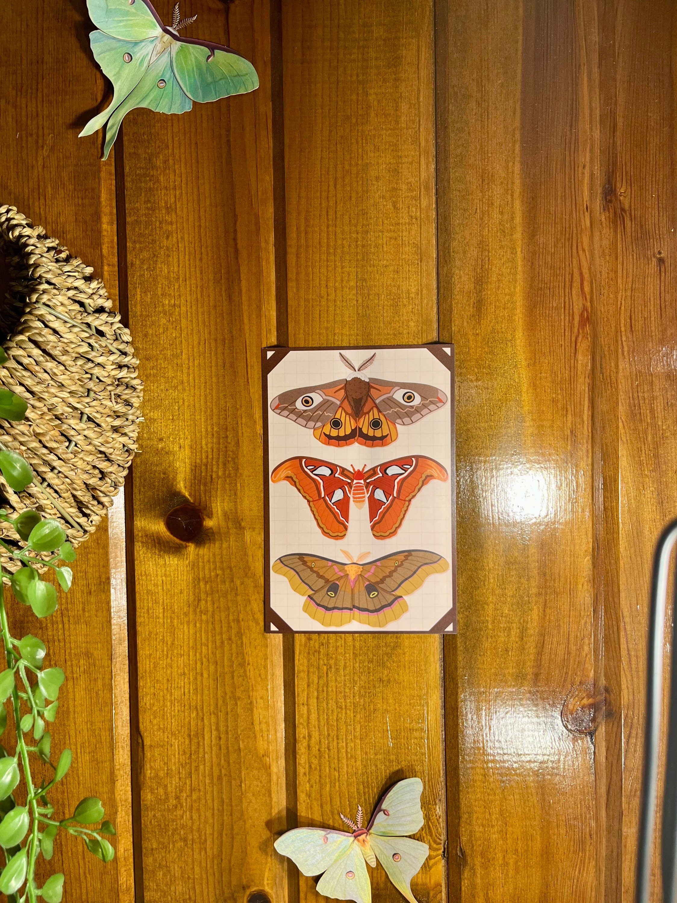 Moth Art Print - Etsy