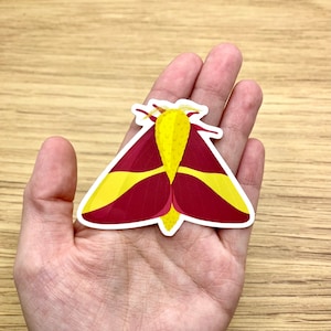 Rosy Maple Moth Sticker