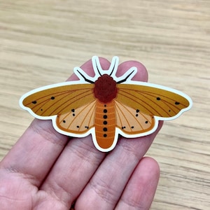 Isabella Tiger Moth Sticker