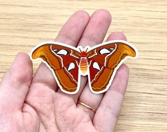 Atlas Moth Sticker