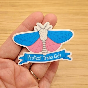 Protect Trans Kids Sticker