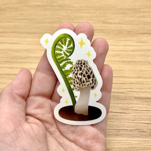 Morel Mushroom and Fiddlehead Fern Stickers