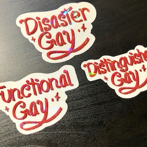 Gay Alignment Stickers -Disaster Gay, Functional Gay, Distinguished Gay