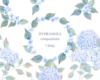May include: Watercolor illustrations of blue hydrangea flowers in various arrangements. The illustrations include a wreath, a single stem, and a bouquet. The text "HYDRANGEA compositions 7 PNG" is included in the image.