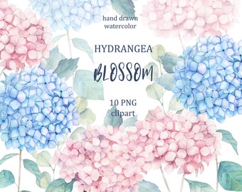 Watercolor Hydrangea Flowers Clipart. Floral Collection