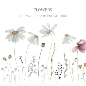 Delicati fiori ad acquerello, clipart di erbe. Collezione floreale ClipArt e pattern senza soluzione di continuità