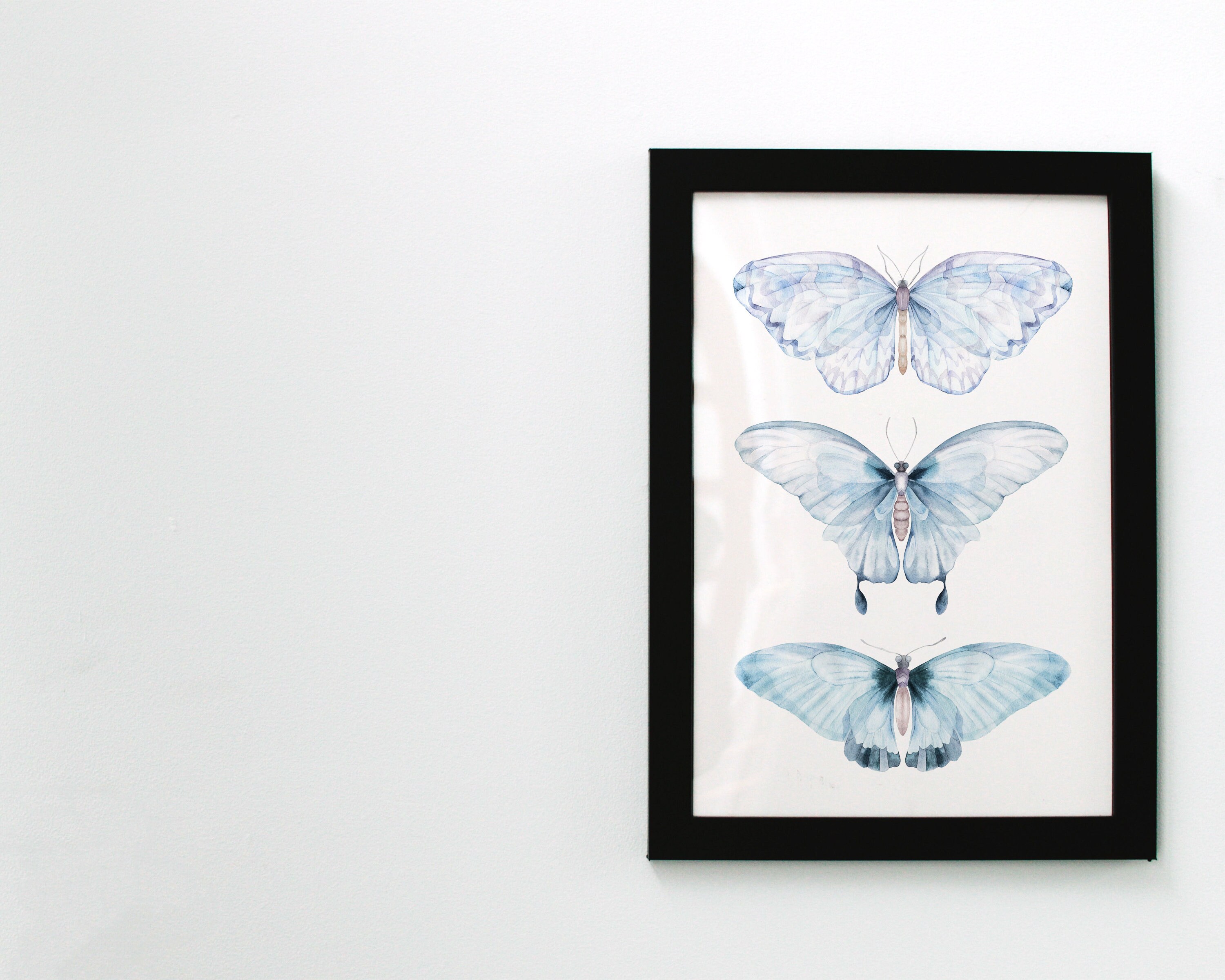 Schmetterling Wandbild Schmetterling Poster Aquarell | Etsy