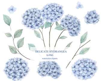 Watercolor Blue Hydrangea Flowers Clipart. Floral Collection, Wedding, Invitation, PNG