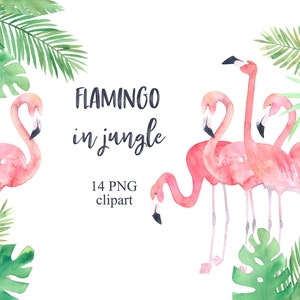 Flamingo in jungle. Watercolor tropical clipart, flamingos, palm leaves, PNG