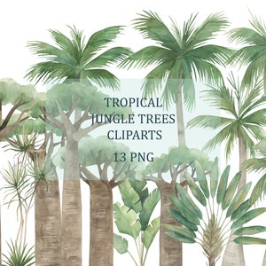 Cliparts d'arbres de la jungle tropicale. Aquarelle de palmiers, collection de baobabs, PNG