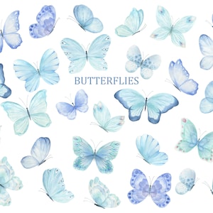 Clipart aquarela de borboleta. Grande coleção. Pintando elementos png à mão. Clipart digital em aquarela