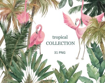 Colección de imágenes prediseñadas tropicales de acuarela: flamencos, palmeras y hojas. PNG