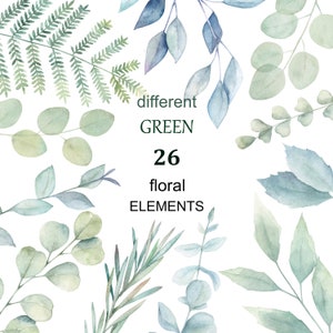 Groene Takken. 26 afzonderlijke bloemelementen. Aquarel clipart, bladeren, groen, kruiden, kruid, gras, blad, groen, wild, bruiloft, png
