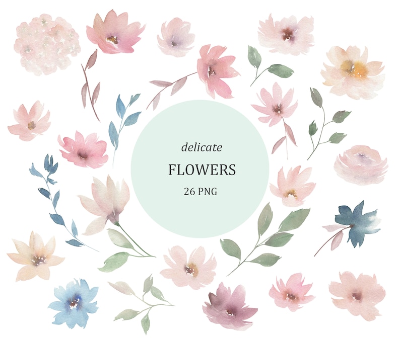 Delicate Watercolor Flowers Clipart. Floral Collection 1 Etsy