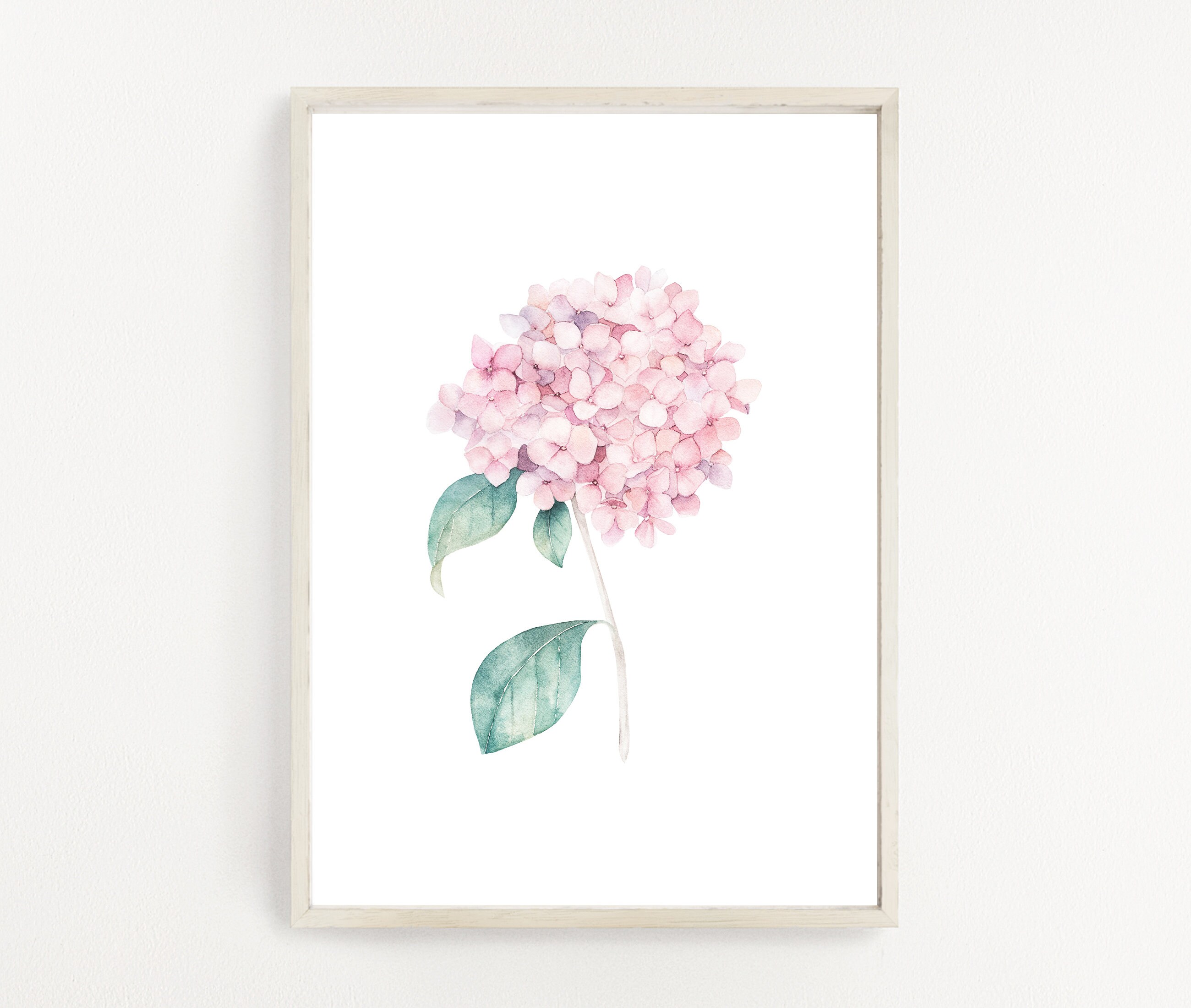 Watercolor Hand Painted Hydrangea. Flower Hortensia Print. - Etsy