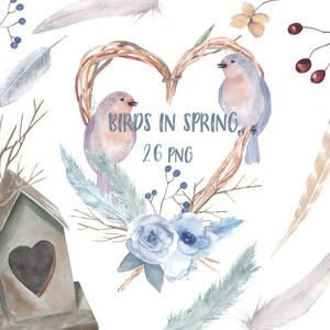 Pássaro aquarela em clipart de primavera. Chá de bebê, criação de cartão de aniversário, cartão de dia dos namorados, download instantâneo, PNG