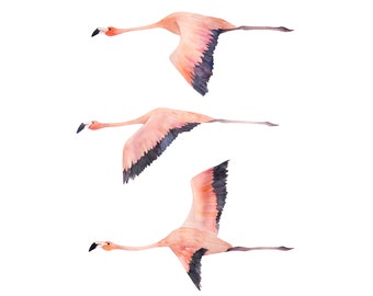 Flying Watercolor Flamingo, Watercolour Flamingo, Pink Flamingo Print, Flamingo Decor Art, Wallpaper Art, Printable Art, Digital DOWNLOAD