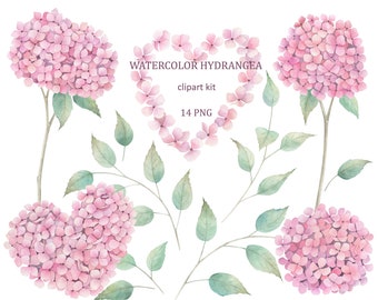 Hydrangea Clipart Kit. Watercolor Flowers Collection.