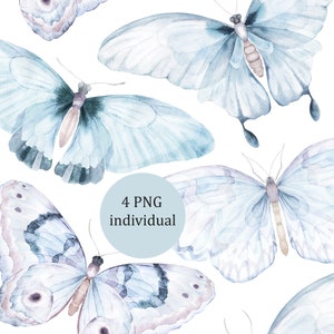 Imágenes prediseñadas de acuarela de mariposa. Elementos png de pintura a mano. Imágenes prediseñadas de acuarela digital